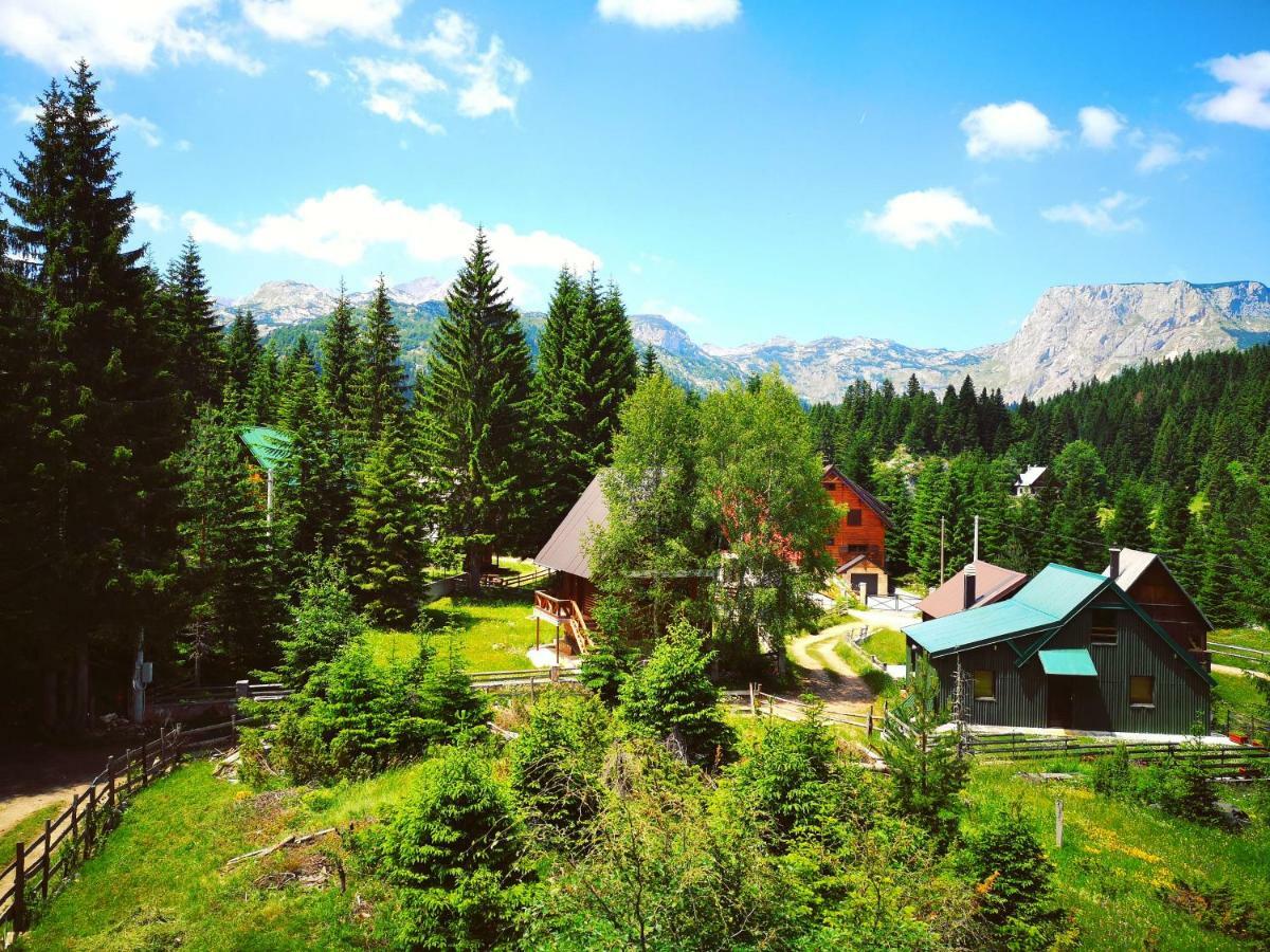 Apartment Durmitor Žabljak Exterior foto